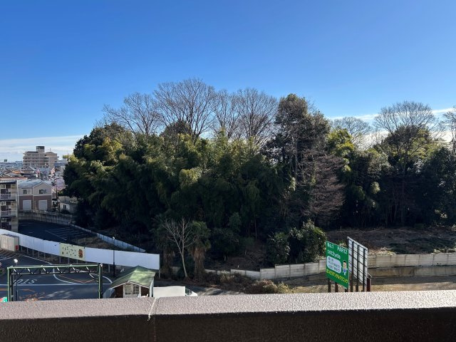 アルファステイツ東宿郷Ⅱのその他|遠くまで見渡せる開放感＋緑豊かな眺望