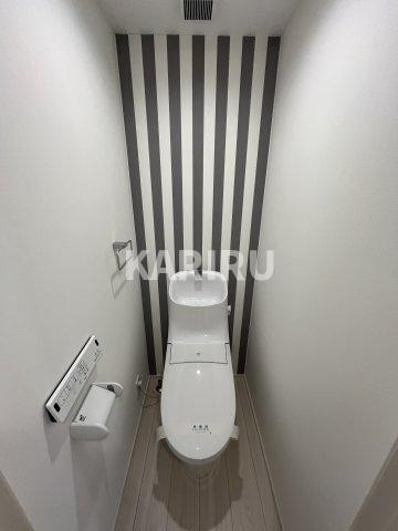 テクノメゾン太子橋　ロフト付・女性専用のトイレ