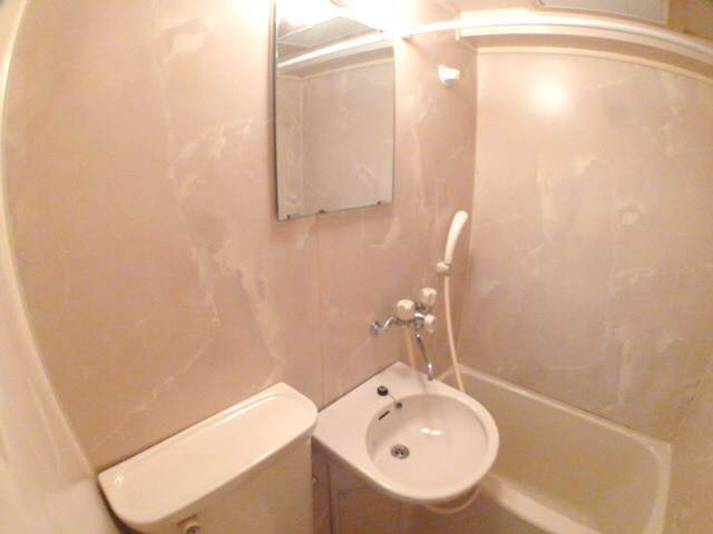 ライオンズマンション新神戸の洗面所