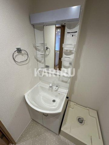 フルール桃谷の洗面所