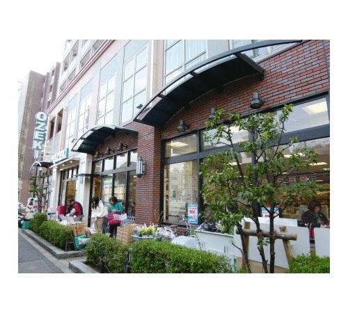 シオンイースト|スーパーオオゼキ野沢店まで732m 