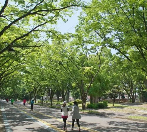 シオンイースト|駒沢オリンピック公園まで770m 