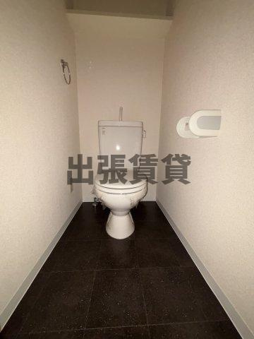 仲介手数料0円！！ラ・ヴィアンパレスIIのトイレ