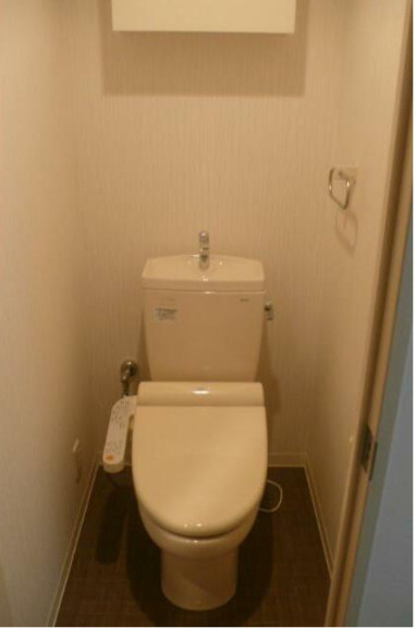 フォーチュン ドゥミールのトイレ