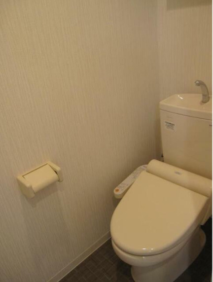 フォーチュン ドゥミールのトイレ