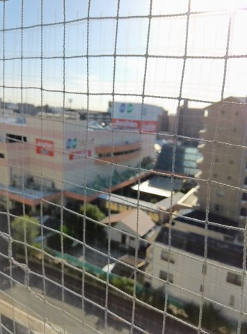甲南クローバーハイツの展望