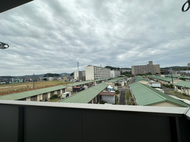 マクナーレの展望