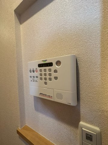 マクナーレのセキュリティ