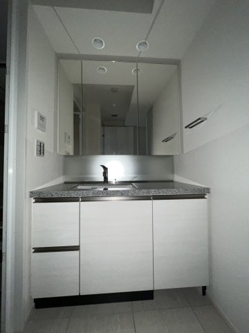 ザ・タワー十条の洗面所