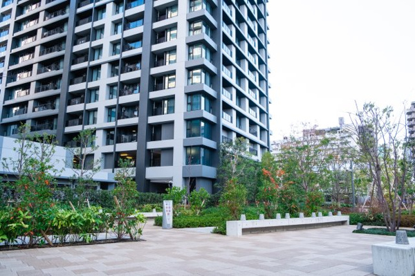 【庭】 | 【イーストパティオ】高木のある寛ぎ。優しい木漏れ日に包まれる、穏やかな空間です。