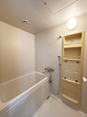 ※クリーニング前です