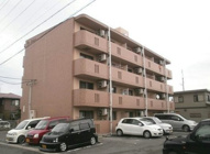 ピアコートの画像