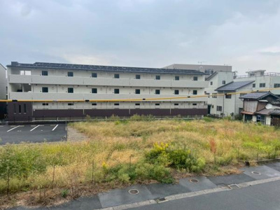 【展望】 | パープル