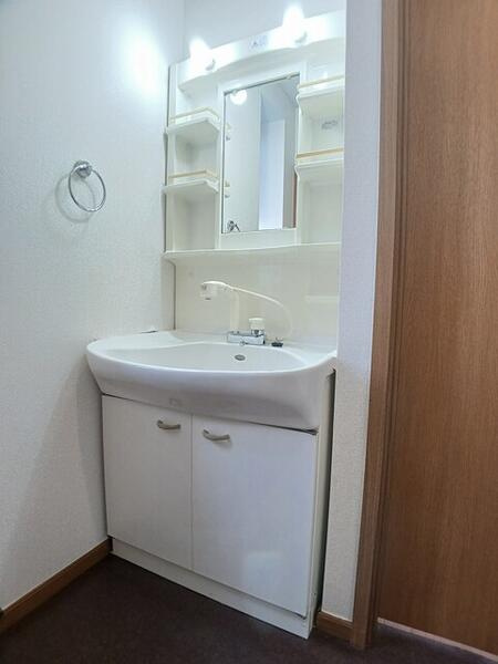 プレサイト天神川の洗面所