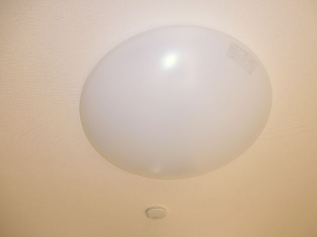 アント・クラントの内装|照明器具