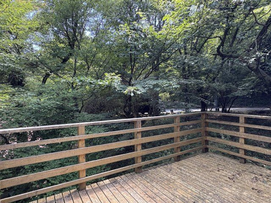 【バルコニー】 | 東急天城高原別荘地　戸建 | ウッドデッキ