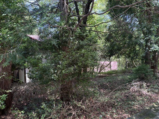 【庭】 | 東急天城高原別荘地　戸建