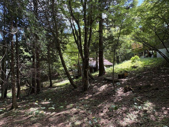 【庭】 | 東急天城高原別荘地　戸建