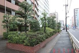 【その他】 | アールヴェール文京大塚公園 | マンション前の道路です