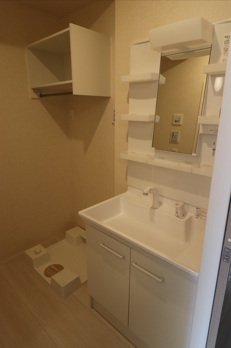 D-room姉体Ⅱの洗面所