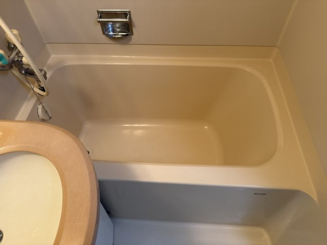 キャッスルコート安室の浴室