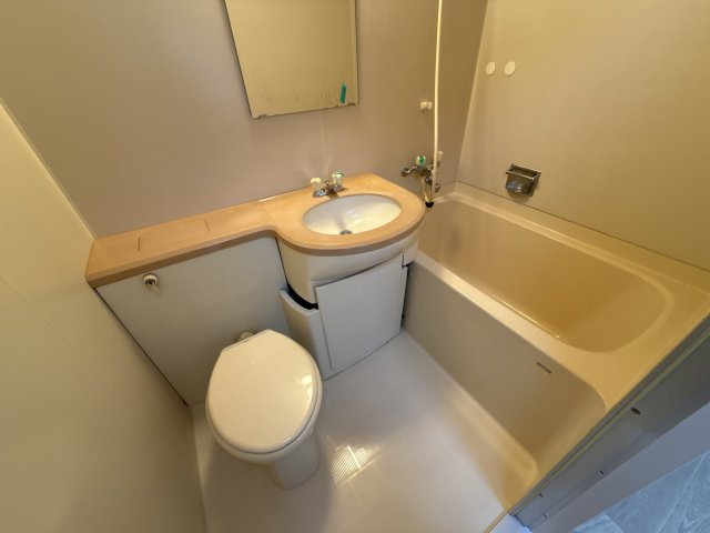 キャッスルコート安室の浴室