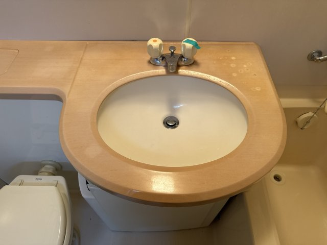 キャッスルコート安室の洗面所