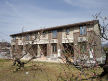 ベル　ミニョンの画像