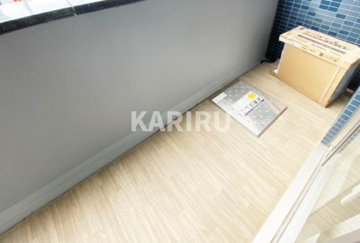 プレサンス桜ノ宮イーサリアルのバルコニー