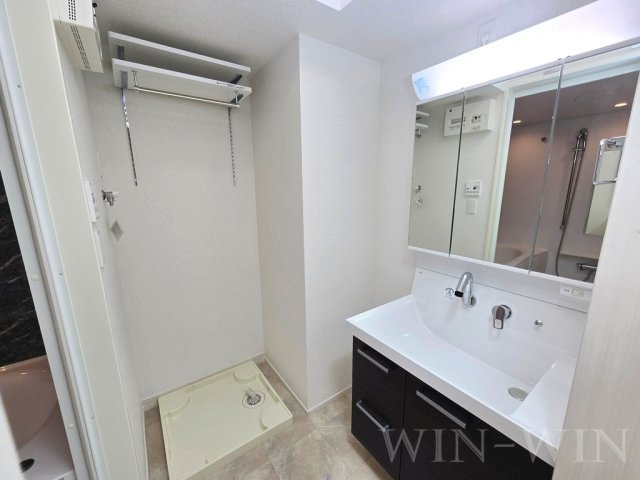 アイビー コート Aの洗面所