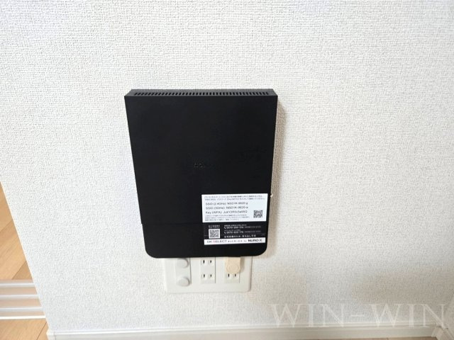 ブルーデイジーの設備