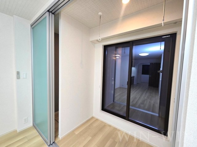 ブルーデイジーのその他