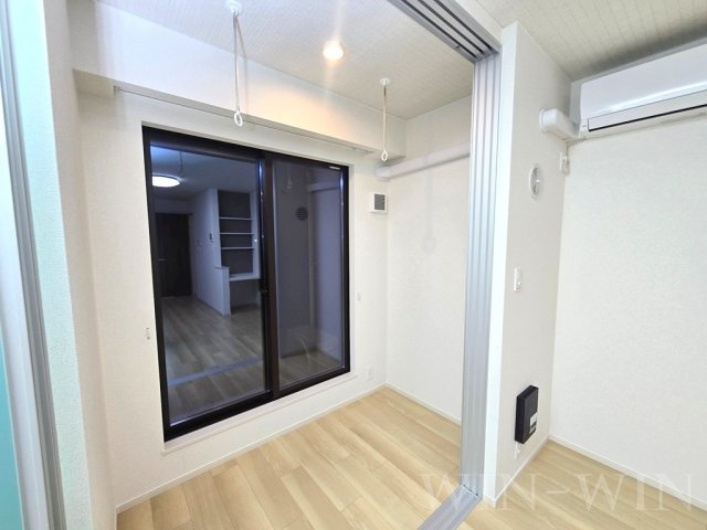 ブルーデイジーのその他