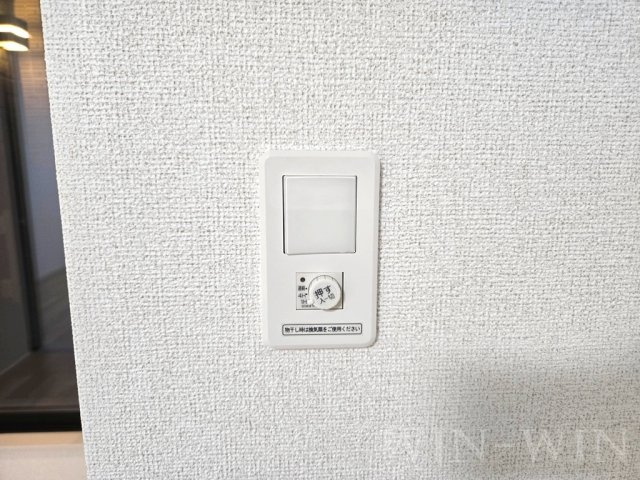 ブルーデイジーのその他