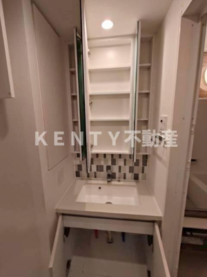 【洗面所】 | ザ・パークハビオ蒲田 | 広い洗面スペース