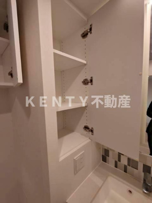 【収納】 | ザ・パークハビオ蒲田 | たっぷりとした収納スペースです