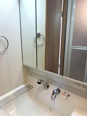 ルミエールの独立洗面台|洗面所