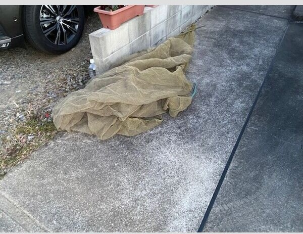 ヴィエントⅡのその他