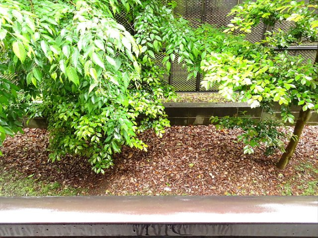 コーポヤマトグランデの展望