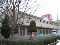 グリシーナコートの画像