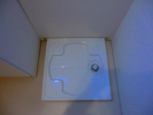 プリムローズのその他