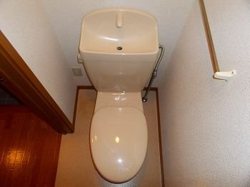 リバーサイドヴィレッジのトイレ