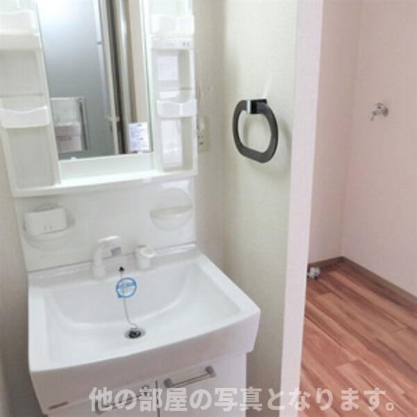 カーサ・セレーノ2の洗面所