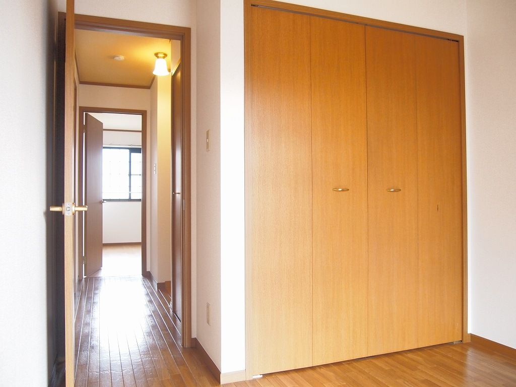 ステラのその他