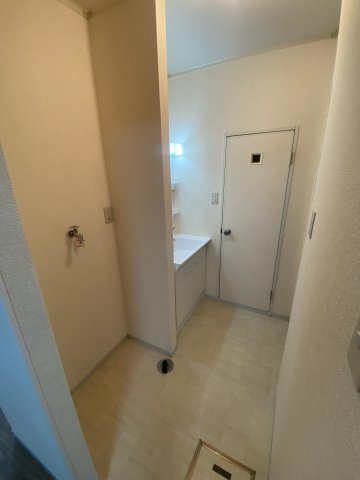 メゾンドール1の洗面所