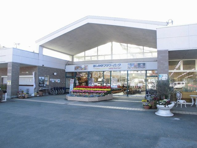 フローレスＢの周辺|あしかがフラワーパークまで3800m