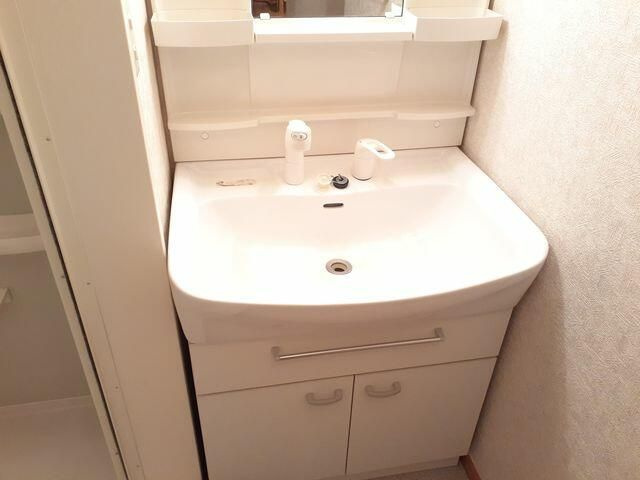 グレイスコートの洗面所