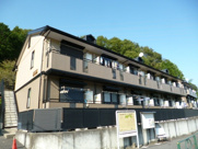 コスモスAの画像