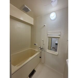 ソレイユ朝宮の浴室