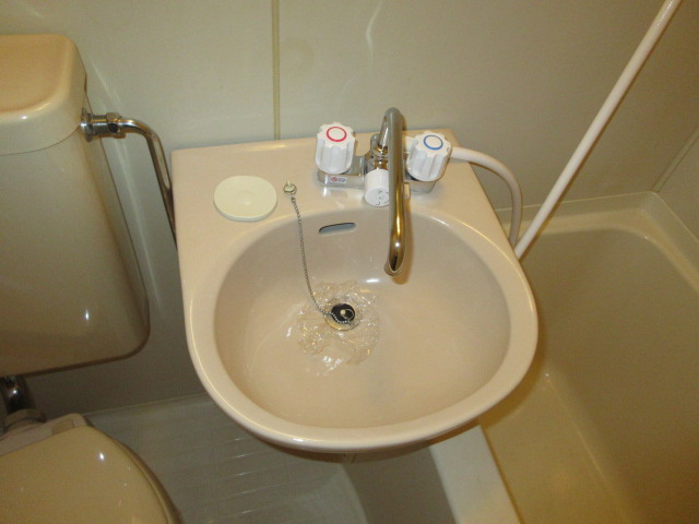 アップルハウス青山の洗面所
